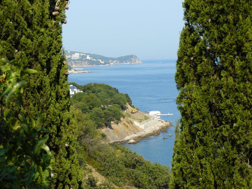 Дмитрий Москалёв фотография #19