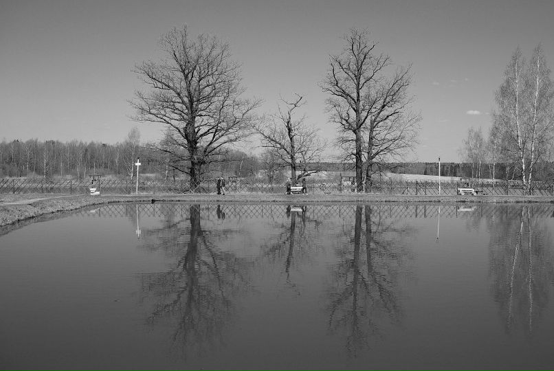 Сергей Спицын фотография #37