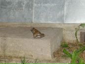 Фотография Алексеевой Любови