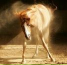 Фотография Щукиной Ларисы