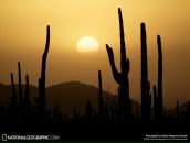 Ρоман Κолесников фотография #36 (источник - https://vk.com/id106872612)