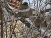 Фотография Океева Олега