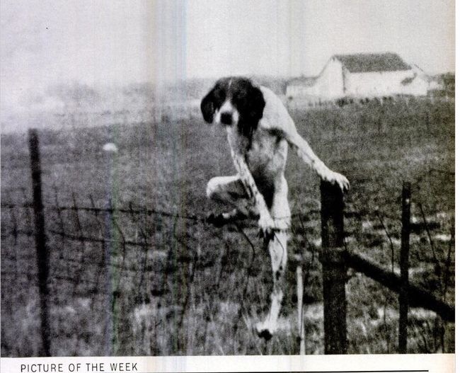 Terra Ra фотография #25