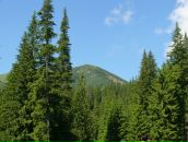 Андрій Кулик фотография #18 (источник - https://vk.com/id86149896)