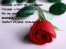 Сергій Кузаконь фотография #12 (источник - https://vk.com/id83316561)