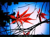 Валерій Яровий фотография #38 (источник - https://vk.com/id16472454)