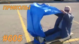 Приколы ноябрь 2019 №605