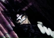 Фотография Мостаковой Натальи