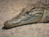 Фотография Булыги Юлии