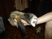 Дима Сергеевич фотография #50 (источник - https://vk.com/id1479155)