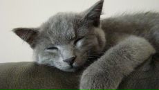 Лєнчік Гаврилюк фотография #41 (источник - https://vk.com/id33693518)