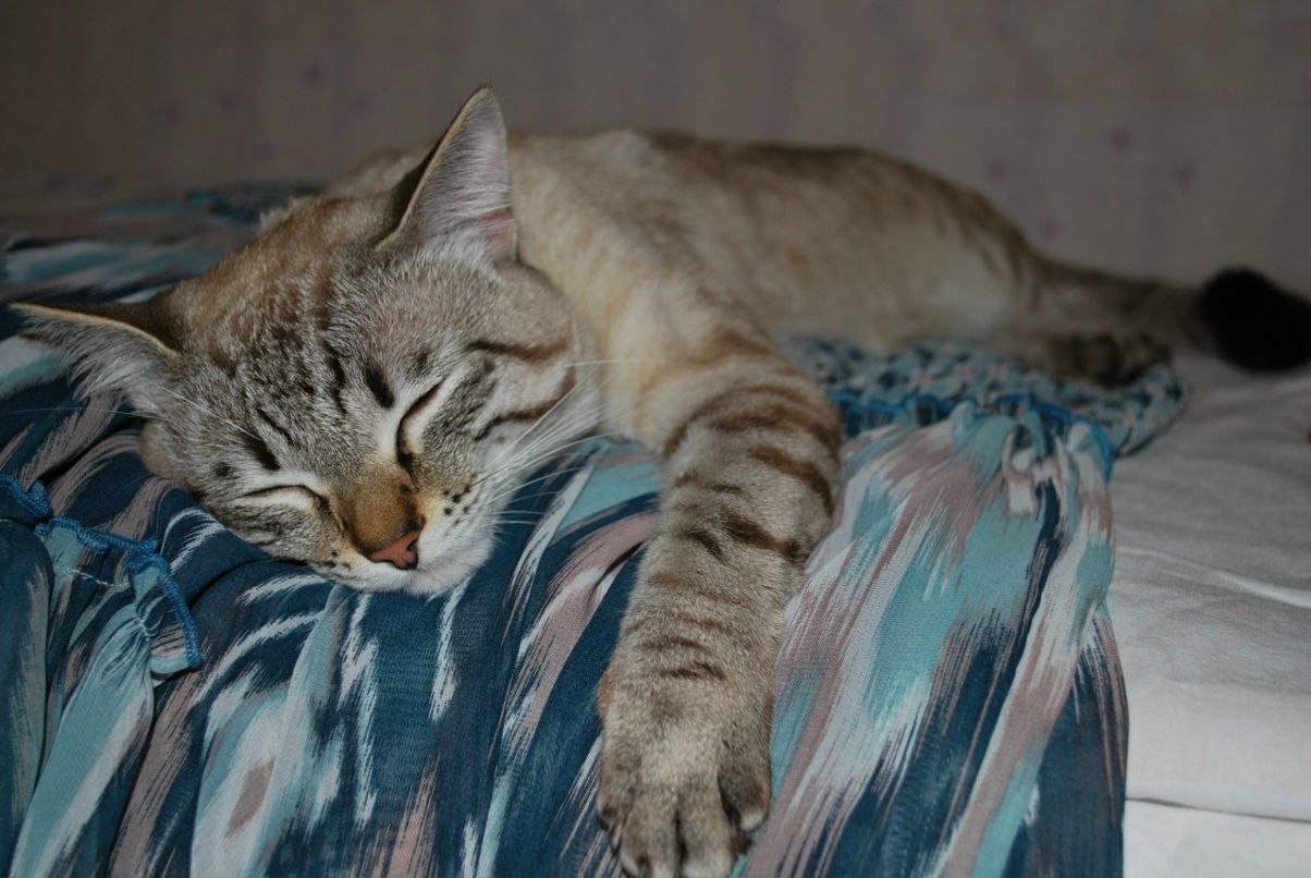 Mata Kimi фотография #8