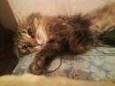 Фотография Васильевой Эльвиры