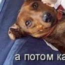 Сірожа Стицюк фотография #25 (источник - https://vk.com/id133380888)