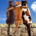 Фотография Клюева Александра