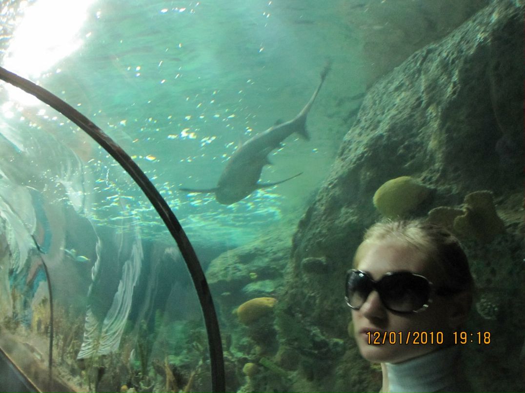 Дмитрий Тимонин фотография #40