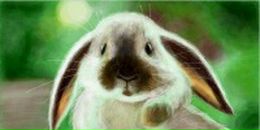 Фотография Осминкина Игоря