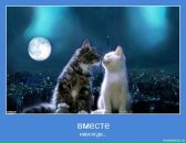 Фотография Астаховой Оксаны