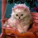 Іринка Ткачук фотография #4 (источник - https://vk.com/id103221401)