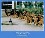 Фотография Романова Ольга