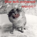 Юлічка Резніченко (Холодняк) фотография #39 (источник - https://vk.com/id62390568)