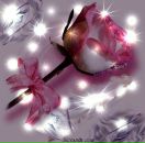 Фотография Богатыревой Людмилы