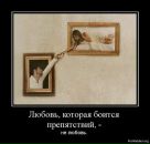 Света Газій фотография #24 (источник - https://vk.com/id126527239)