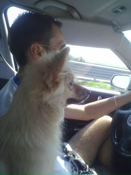 №17, Андрій Ковальов, 36 лет, Matera №17, Андрій Ковальов, 36 лет, Matera