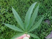 Ростік Бондар фотография #20 (источник - https://vk.com/id99086131)