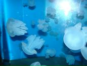 Анна Крель фотография #50 (источник - https://vk.com/id9706220)