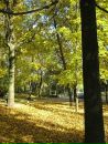 Олена Кіфяк фотография #27 (источник - https://vk.com/id9942574)