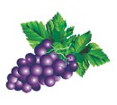 Іван Зайков фотография #4 (источник - https://vk.com/id70496859)