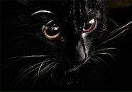 Фотография Мишариной-Паневой Ирины