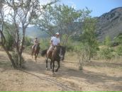 Фотография Богоявленского Павла