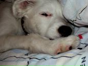 Фотография Ватутиной Ксюшки