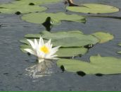 Ірина Явна фотография #42 (источник - https://vk.com/id22161754)