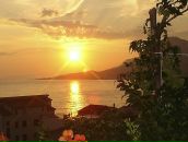 Igor Pancic фотография #1