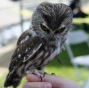 Фотография Радышевского Олега