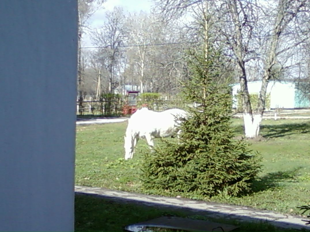 Сергей Редичкин фотография #36