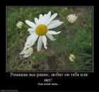 Сергій Погоріло фотография #20 (источник - https://vk.com/id59841416)