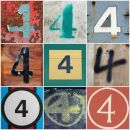 Фотография Volkova Ksenia