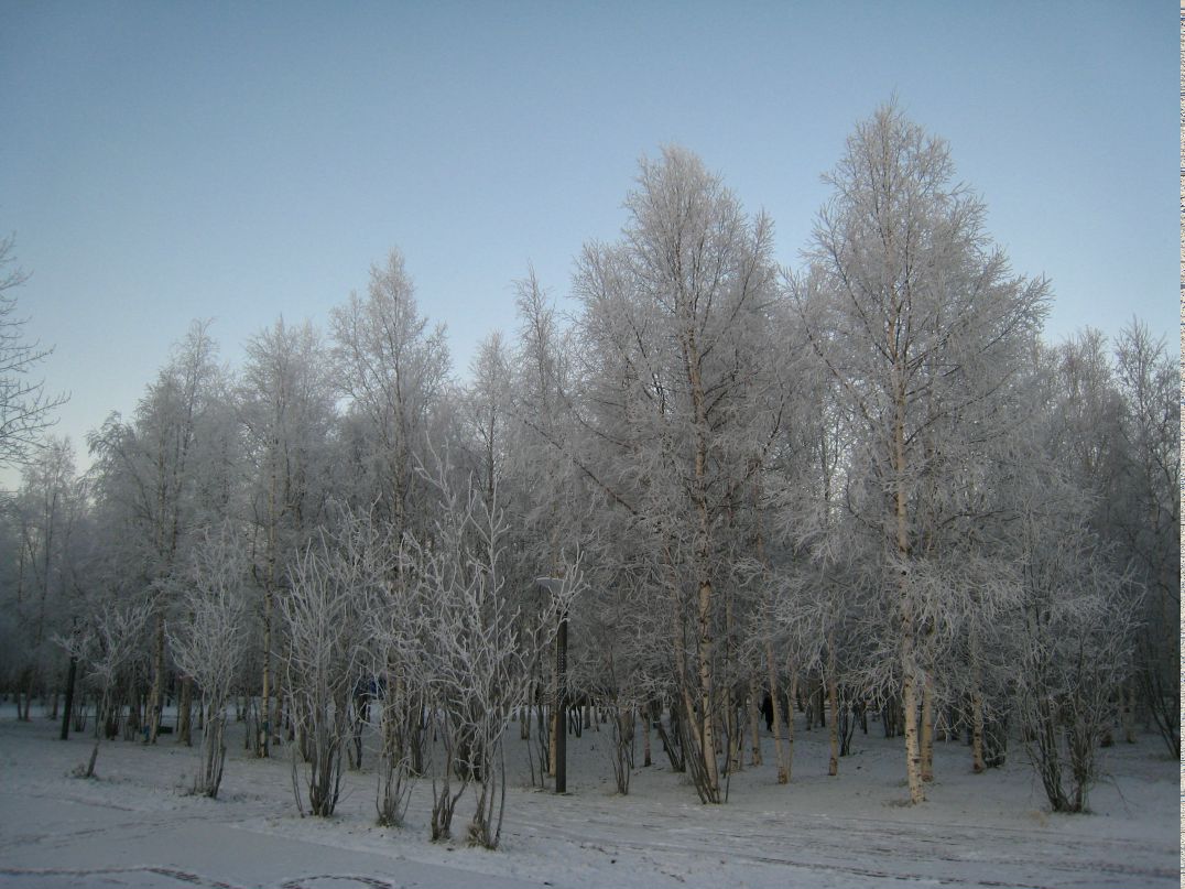 Sergey Kuznetsov фотография #36