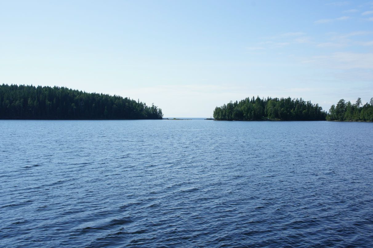Сергей Д фотография #35
