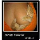Віталік Катрага фотография #34 (источник - https://vk.com/id165701899)