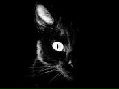 Фотография Kononov Petr