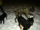 Наталія Петрова фотография #44 (источник - https://vk.com/id8906209)