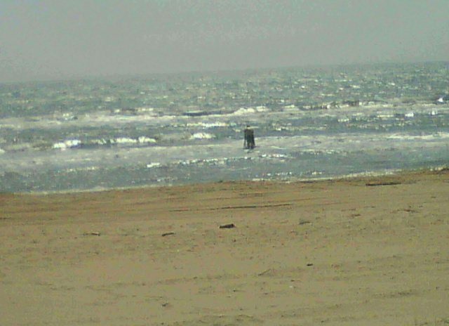 Дмитрий Торопов фотография #18