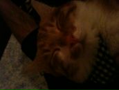 Fırat FIRAT фотография #9 (источник - https://vk.com/id22875274)