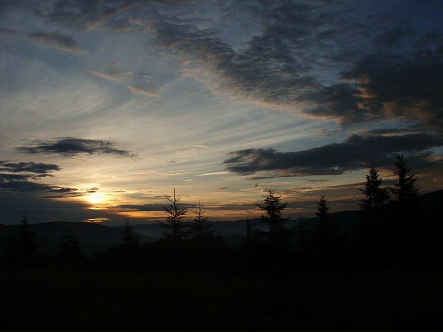 Маша Анищенко фотография #30