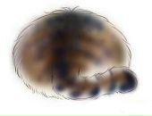 Фотография Концуб Дарьи